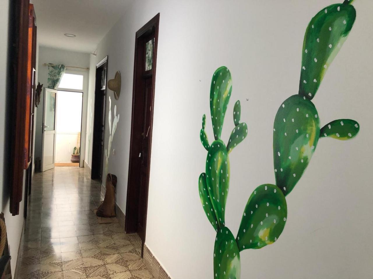 Cactus Host Vandrehjem Las Palmas de Gran Canaria Eksteriør billede